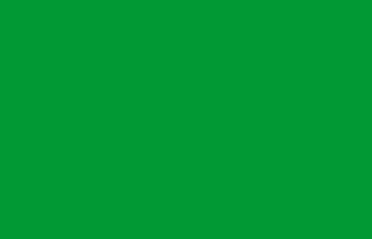 Libya - national flag