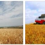 Russia Agriculture and Transportation