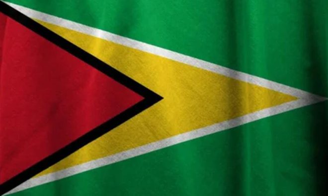 National Flag of Guyana